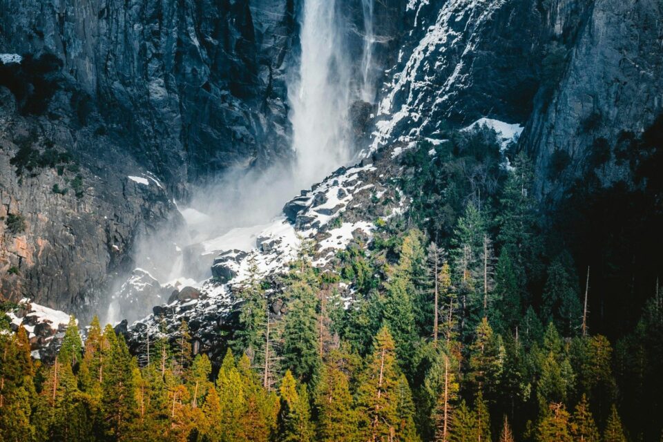 Colors of Nature