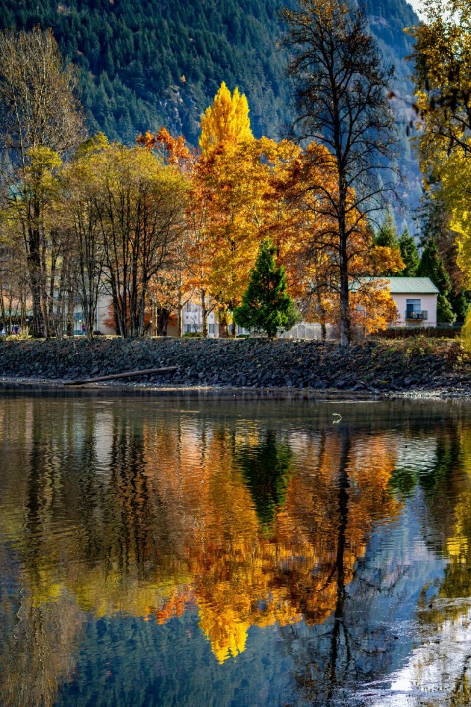 Fall
