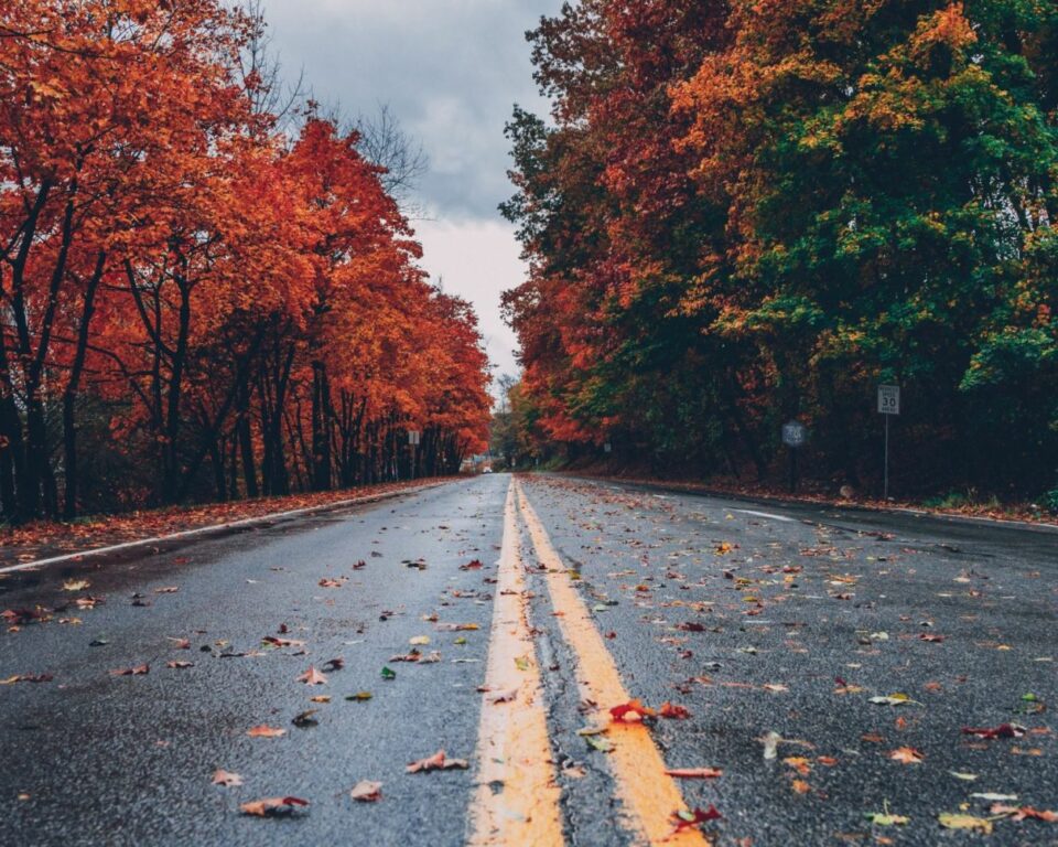Road to Autumn